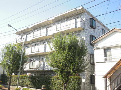 Building appearance. Appearance 2