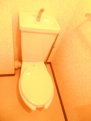 Toilet. Toilet