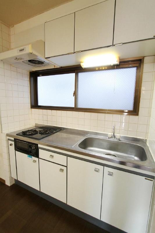 Kitchen. System kitchen with a two-burner grill Sink also spacious
