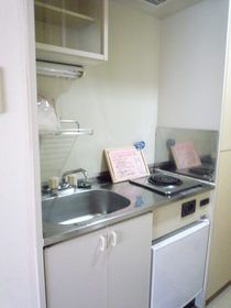 Kitchen. It comes with a 1-neck electric stove.