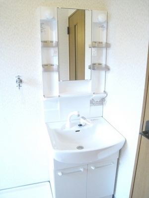 Washroom. Popular independent wash basin in women