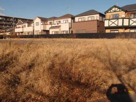 Local land photo.  [Local 1] 2013 December shooting