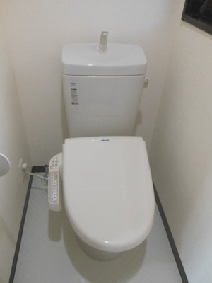 Toilet. Toilet