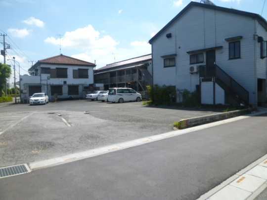 Local land photo. Appearance 1