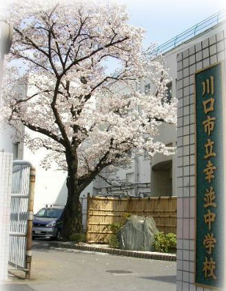 Junior high school. 909m until Kawaguchi Municipal Saiwainami junior high school (junior high school)