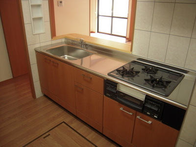 Kitchen. Kitchen