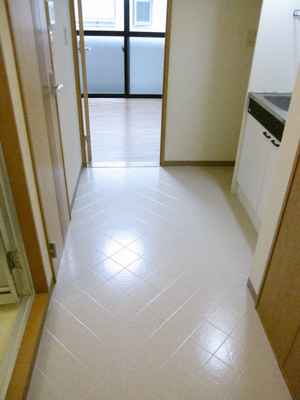 Entrance. Welcome back! This is the image I opened the front door