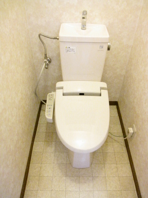 Toilet. Bidet with toilet