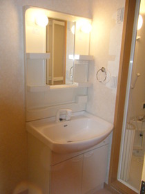 Washroom. Independent wash basin