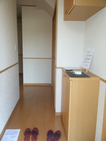 Entrance. Footwear box