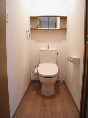 Toilet. Storage shelves and towel rails are happy toilet