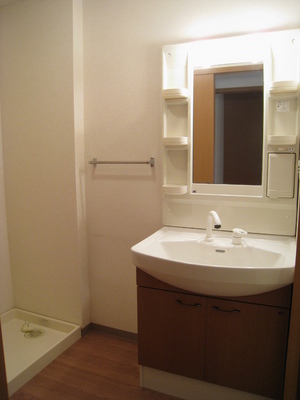 Washroom. Convenient shampoo dresser also busy morning