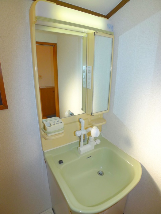 Washroom. Shampoo dresser