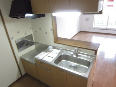 Kitchen. Face-to-face kitchen