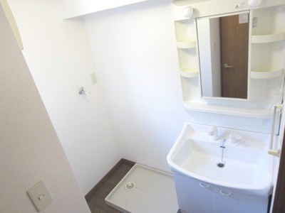 Washroom. Shampoo dresser with