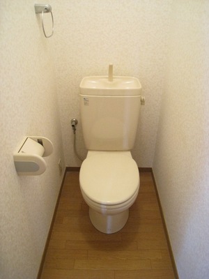 Toilet. Outlet There will put Washlet
