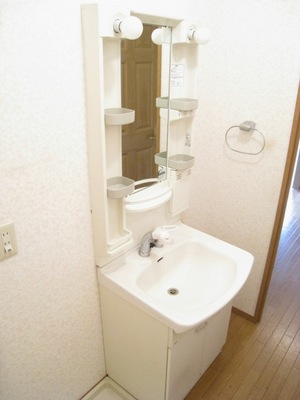 Washroom. Independent wash basin