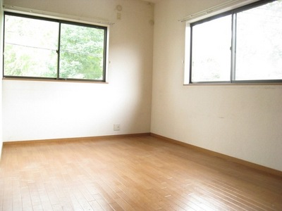 Living and room. Western-style two-sided lighting