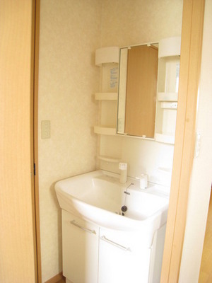 Washroom. Happy shampoo dresser in a busy morning