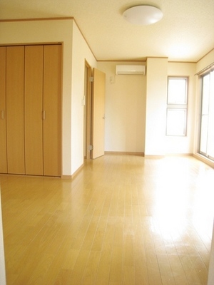 Living and room. Western-style two-sided lighting