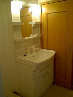 Washroom. Shampoo dresser