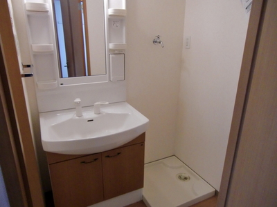 Washroom. Shampoo dresser