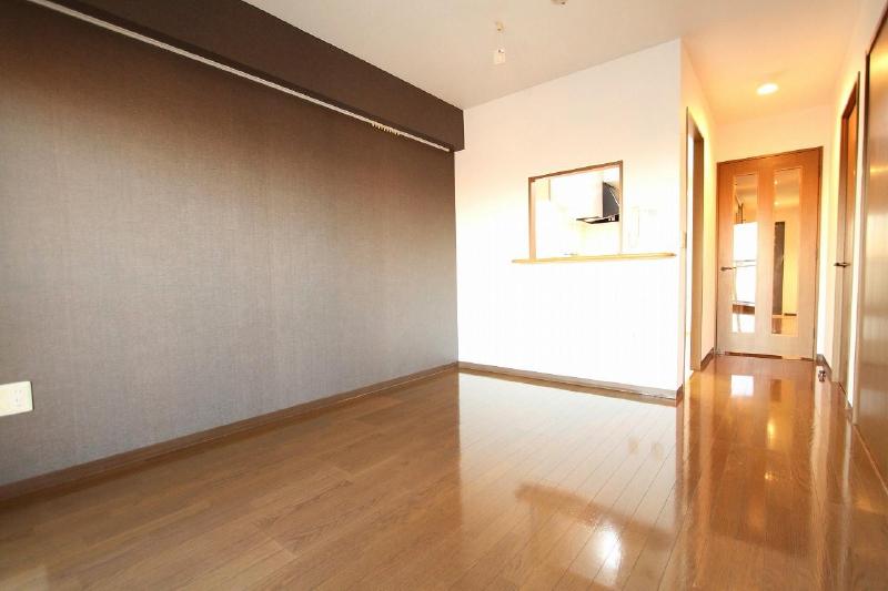 Living and room. Also look at relief appearance of the living room from the kitchen with a counter