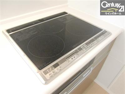 Kitchen. Building 3 Cleaning Easy IH cooking heater