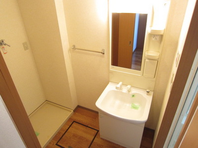 Washroom. Shampoo dresser with