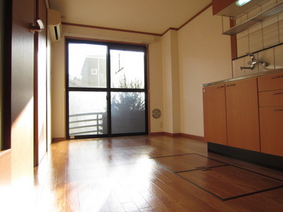 Living and room.  South-facing sunny