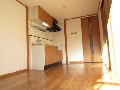 Living and room. The south side of the bright dining kitchen