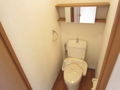 Toilet. With storage equipped with a mirror