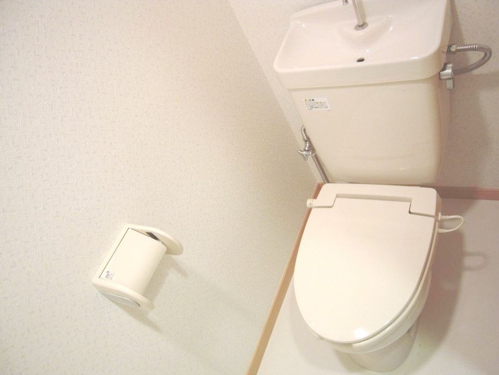 Toilet. It comes with warm toilet.