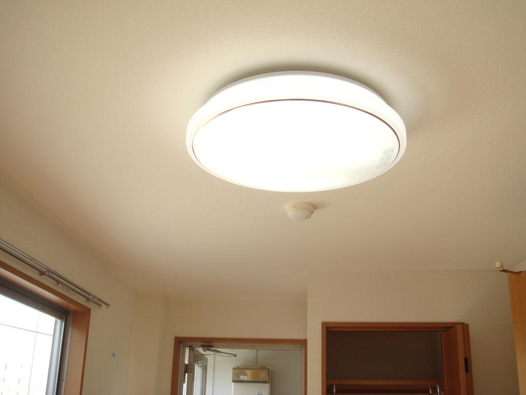 Living and room. Lighting Yes