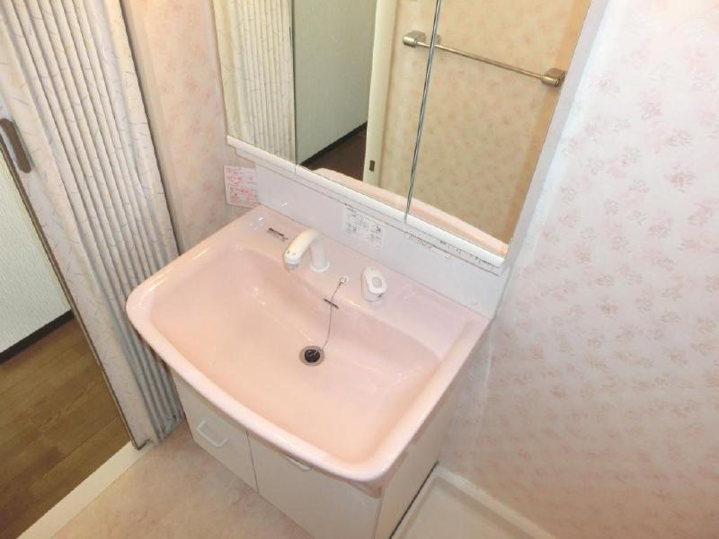 Washroom. The back of the mirror is, of course ... storage