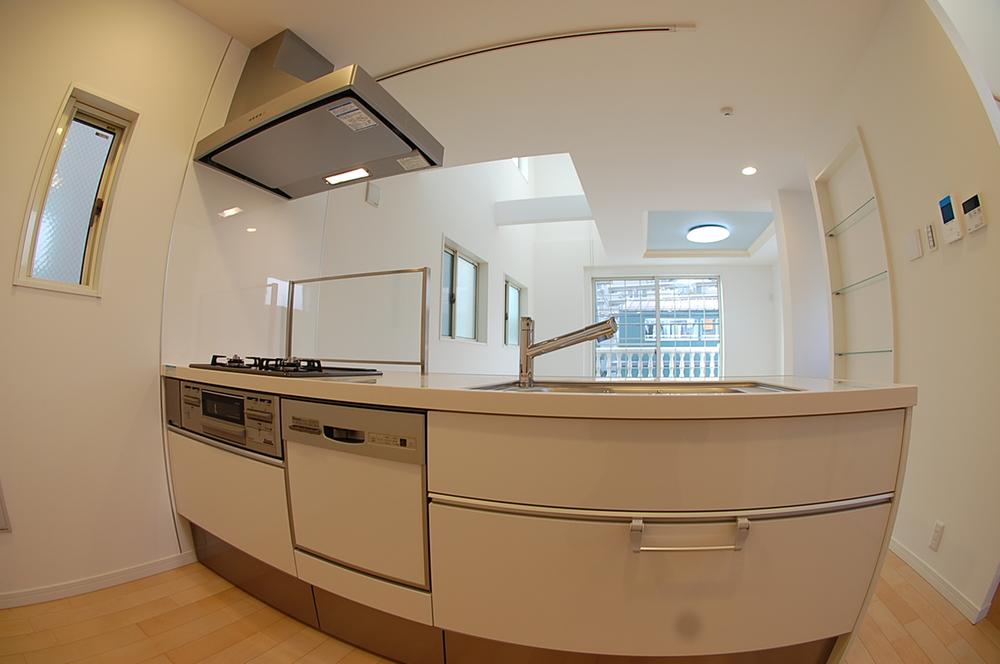 Kitchen. Dishwasher built-in system kitchen