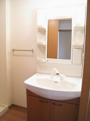 Washroom. Stylish wash basin