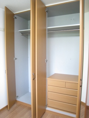 Receipt. Convenient stepped closet