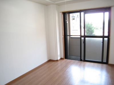 Living and room. Sunny nice room