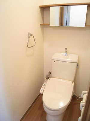 Toilet. Window with a bidet toilet