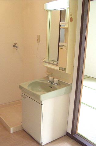 Washroom. It comes with independent wash basin! Also Laundry Area is room!