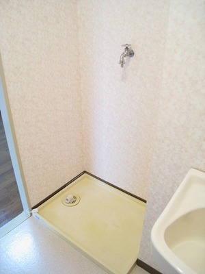 Other. You can put the perfect washing machine