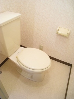 Toilet. Washlet installation Allowed