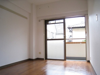 Living and room. Beautiful flooring