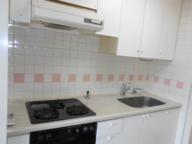 Kitchen. System Kitchen (3-neck with stove)