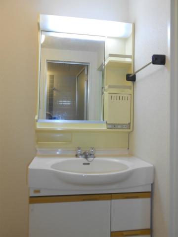 Wash basin, toilet. Bathroom vanity
