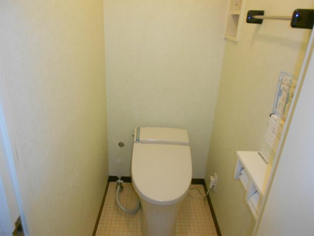 Toilet. Toilet (with bidet function)
