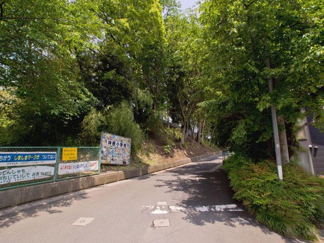 Primary school. Kawaguchi Tatsugami root Elementary School