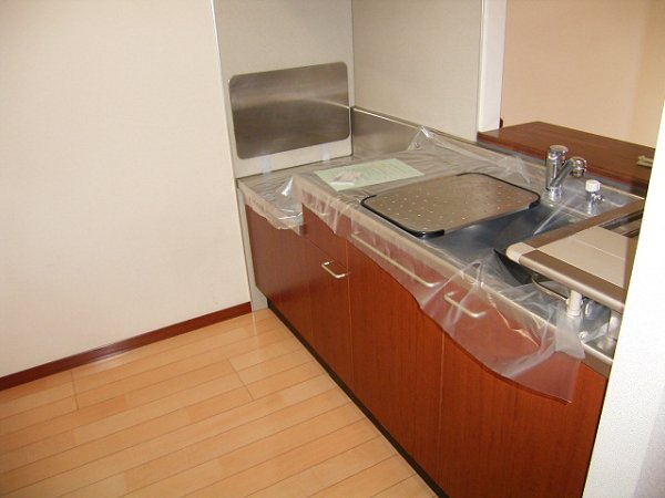 Kitchen. Two-necked gas stove installation Allowed