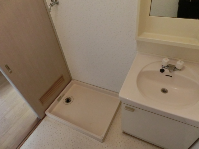 Washroom. Laundry Area